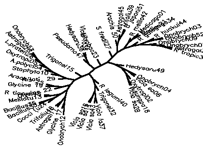 ../graph/treee.png