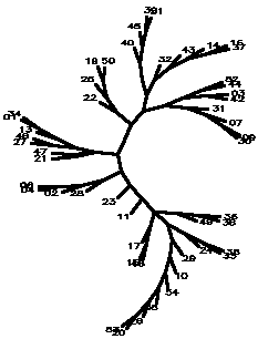 ../graph/treeh.png